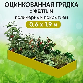 Грядка желтая (0,6 х 1,9)