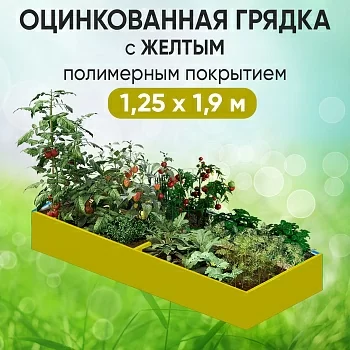 Грядка желтая (1,25 х 1,9)