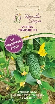 Огурец Триоле F1 (Красивая Грядка)