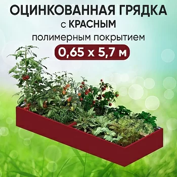Грядка красная (0,65 х 5,7)